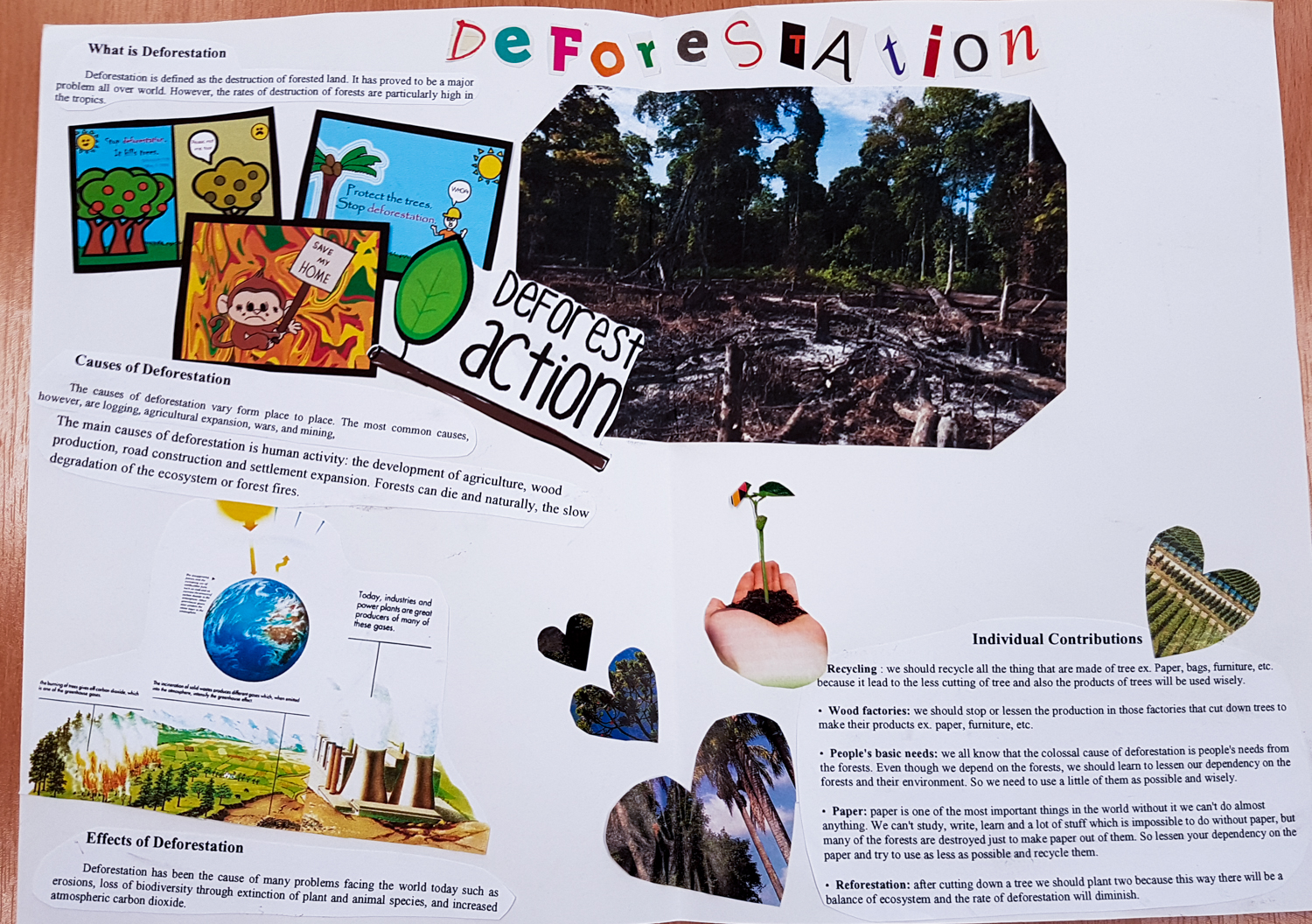 stop deforestation posters for kids